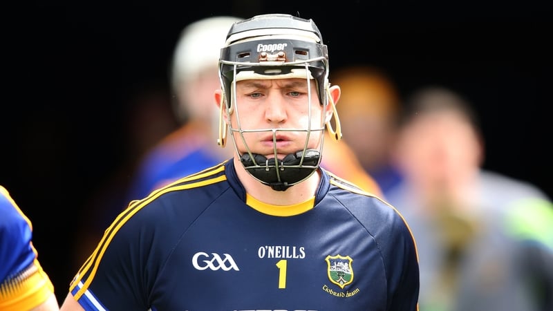 Darren Gleeson was Tipperary's starting goalkeeper when they beat Kilkenny in last year's All-Ireland senior hurling final