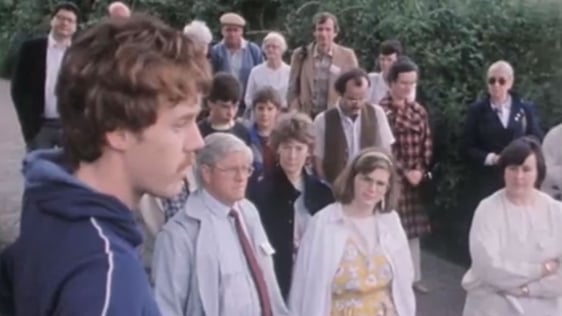 Newfoundlanders in Ireland