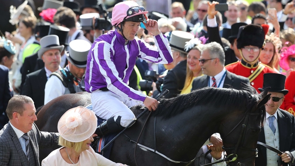 Wings of Eagles has run his last race