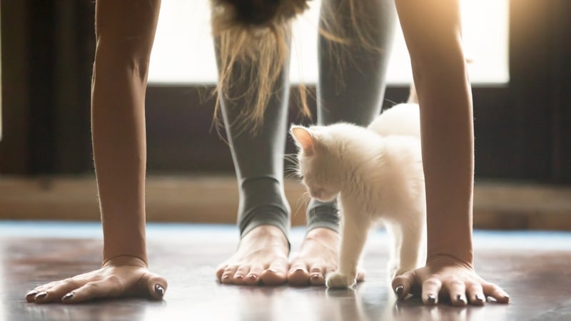 Yoga Pose of the Month: Standing Forward Fold