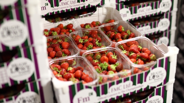Hugh Lowe Farms relies on seasonal labour to make sure Wimbledon is supplied with fresh strawberries