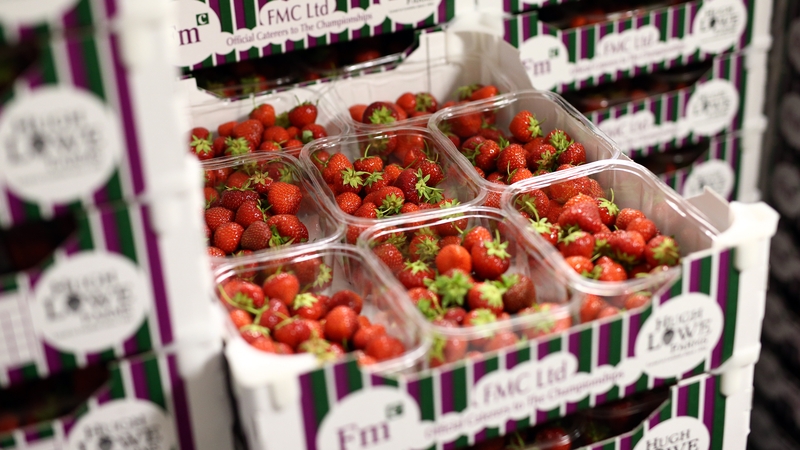 Hugh Lowe Farms relies on seasonal labour to make sure Wimbledon is supplied with fresh strawberries