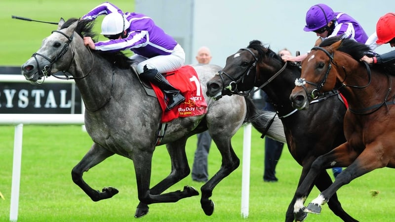 Capri (l) is among the Ballydoyle hopefuls for the Paris highlight