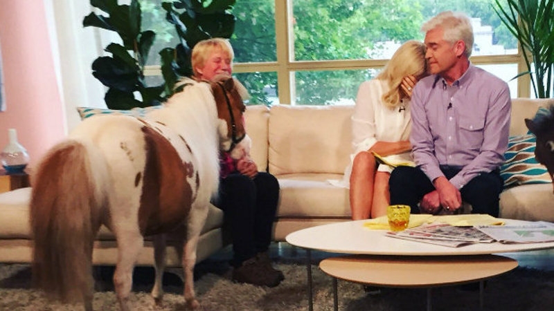 Monet the pony steals the show on This Morning