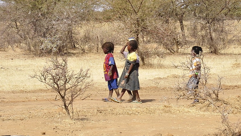 The report says around 250 million under-fives in low and middle income countries risk being stunted due to malnutrition and other impacts of poverty