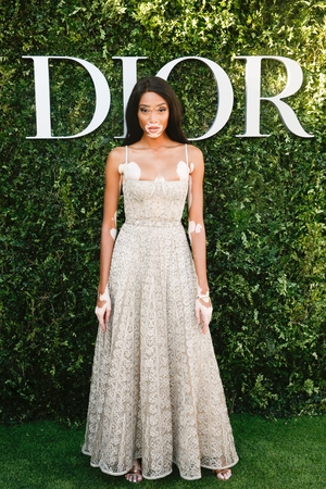 Model Winnie Harlow looks elegant and pristine in this nude tulle gown from Dior's SS17 line.