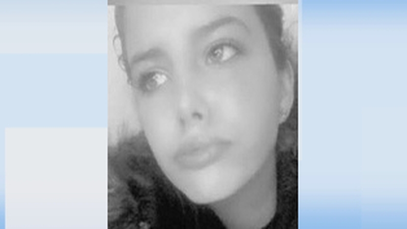 Karina Gostomskq was last seen on the Roxboro Road in Limerick on Tuesday 27 June