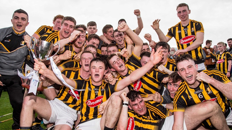 Kilkenny celebrate their triumph