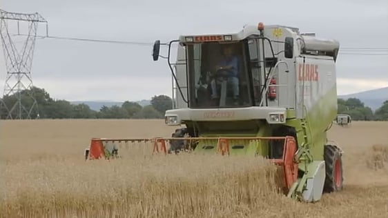 Farmer Shay Grace operating combine harvester (2007)