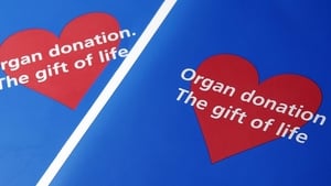 Kidney'versary' - 10 years since a lifesaving transplant  show image
