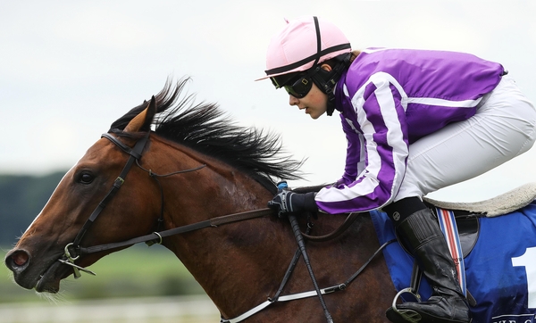 With 22 winners to her name already in 2017, Ana O'Brien was enjoying her best season to date