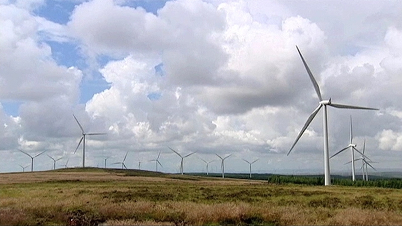 The Green Party wants to reward greener farming, improve biodiversity and enhance connectivity in rural Ireland