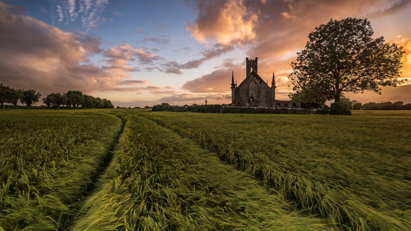 WINNER - Piotr Dominiak, Ballinafagh Church ruins, Co. Kildare