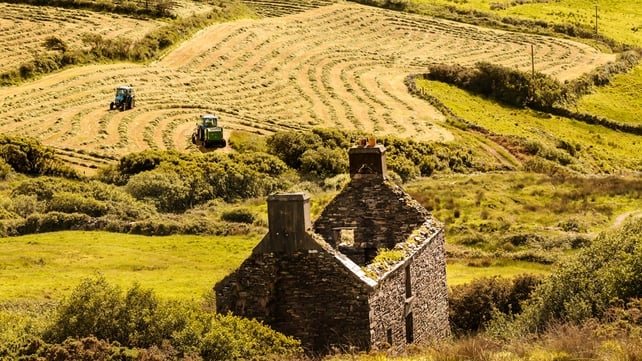 Ann O' Connell, Sheep's Head peninula, Co. Cork