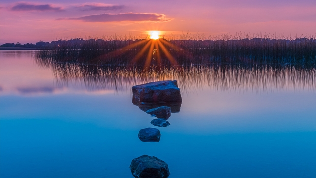 Todor Tilev, Lough Ree, Portaneena, Athlone, Co. Westmeath.