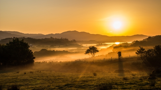 Stephen O' Shea, Westcove, Caherdaniel, Co. Kerry
