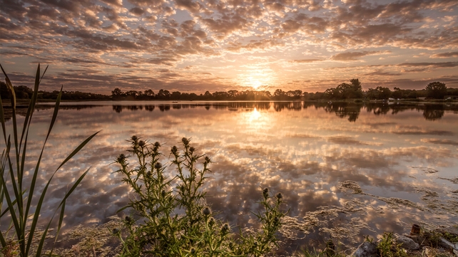 Martin McNamara, Wavin Lake, Balrothery, Co. Dublin
