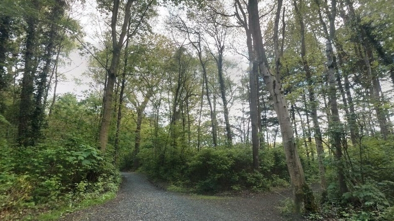 A forensic tent has been erected in the forest around Hillsborough Lake (Pic: Google Maps)