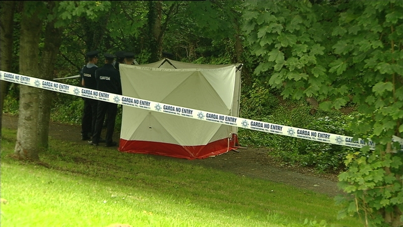 Gardaí were alerted by a passer-by at around 10am