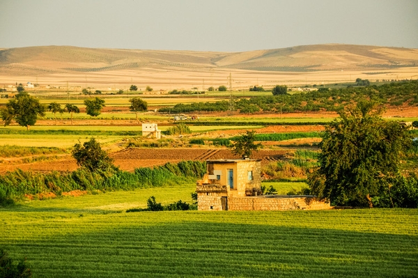 Green fields in western Syria, before the civil war started. Jakob Fischer / shutterstock