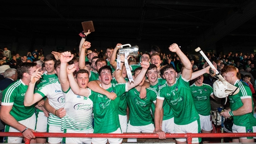 Limerick celebrate winning the Munster U21 hurling title