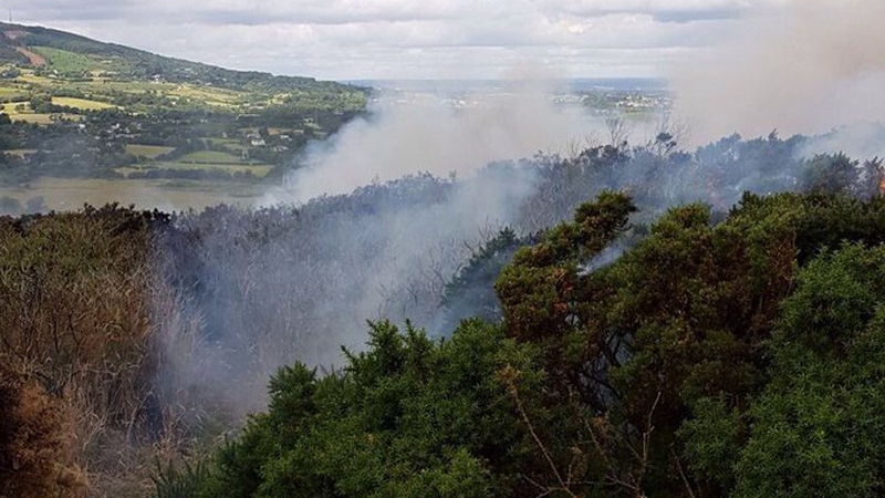 A number of units attended the scene at Rathmichael where the M50 and M11 merge (Pic: Dublin Fire Brigade)