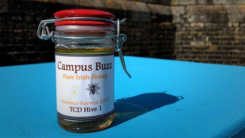 The jam will be studied as part of further research projects