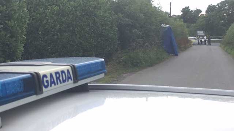 Michal Kurek's body was found near Ballyboughal, in Dublin