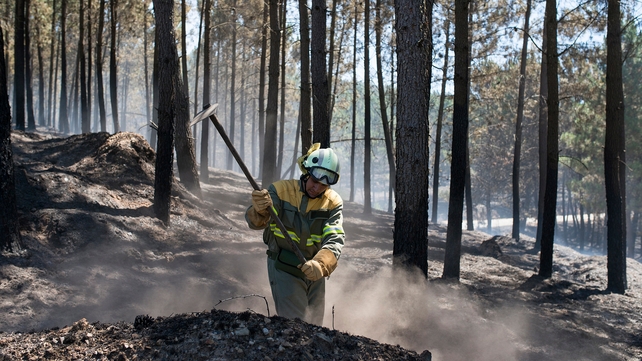 A fire fighter works on a forest fire in Verin, Spain, yesterday