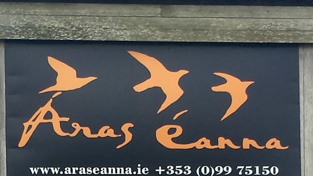 Dara McGee, stiúrthóir Áras Éanna.