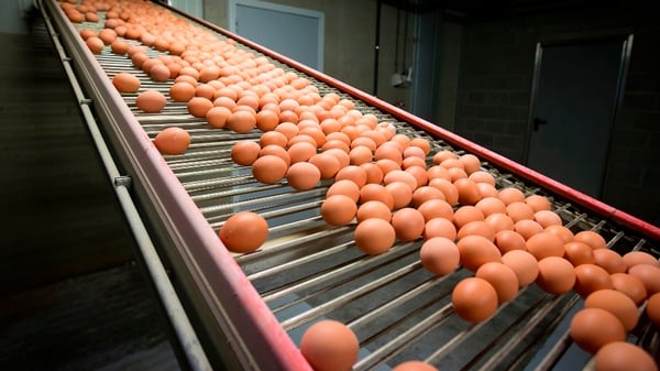 Discount supermarket chain Aldi had withdrawn suspect batches sold in Luxembourg but 'contaminated eggs were sold on the Luxembourg market', the government announced