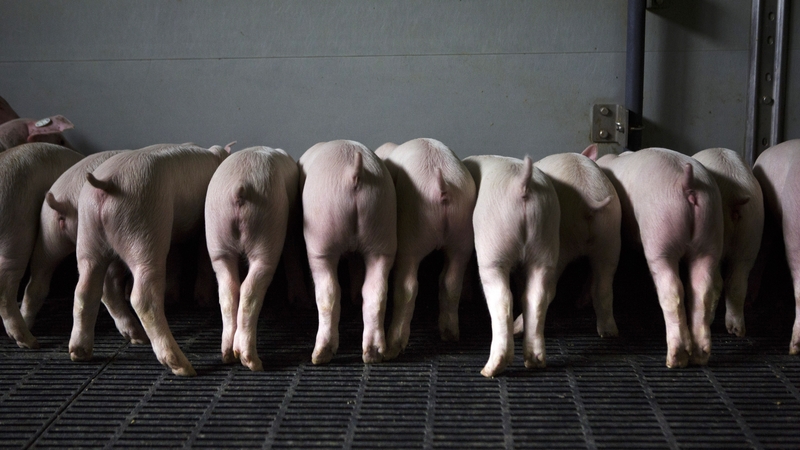 New research reported in the journal Science suggests another hurdle has been cleared