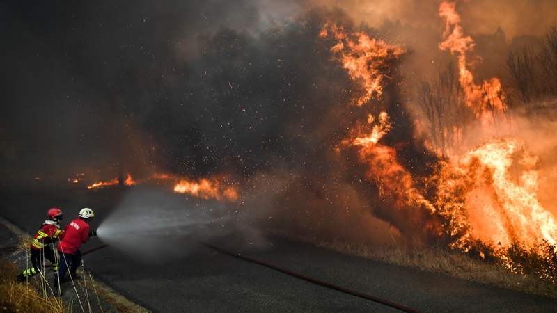 Firefighters tackle a wildfire close to the village of Pucarica in Abrantes