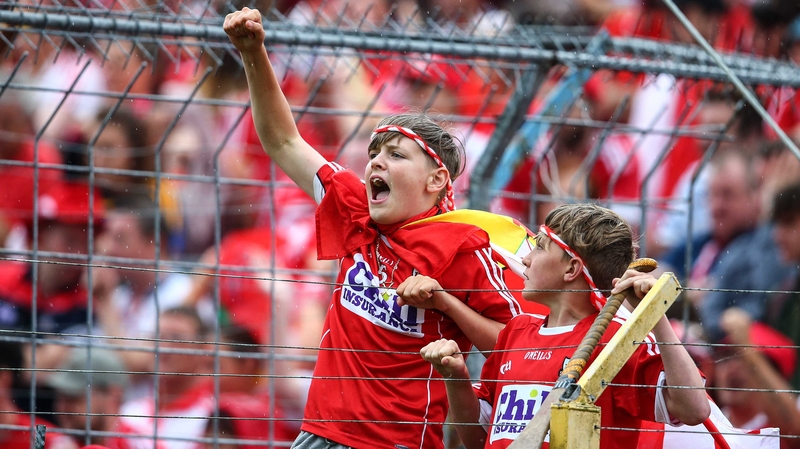 Young Cork supporters in full cry