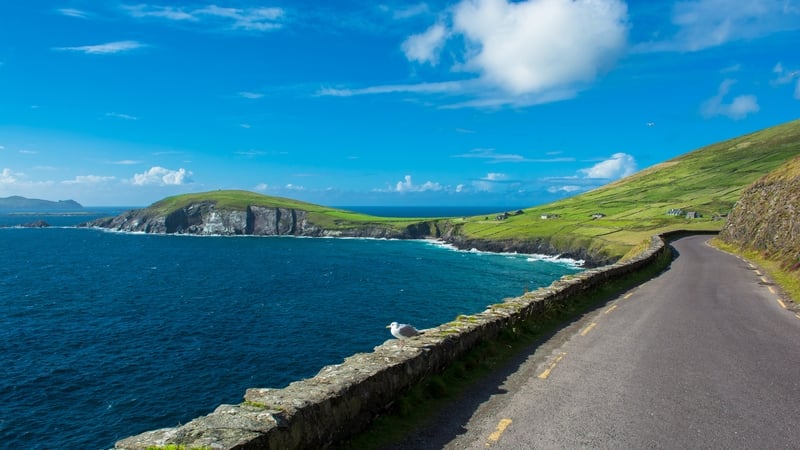 Single Track Coast Road at Slea Head in Ireland.