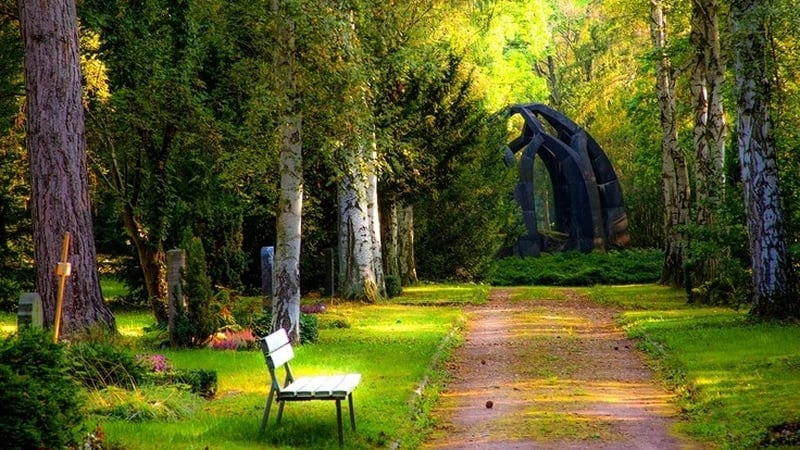 A little piece of urban tranquility. Photo: Pexels