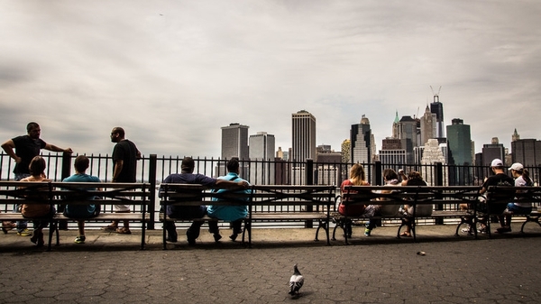 City life is not just for the birds. Photo: Daniel Ladenhauf https://www.flickr.com/photos/ladi/
