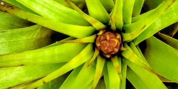 10 Striking images from Research