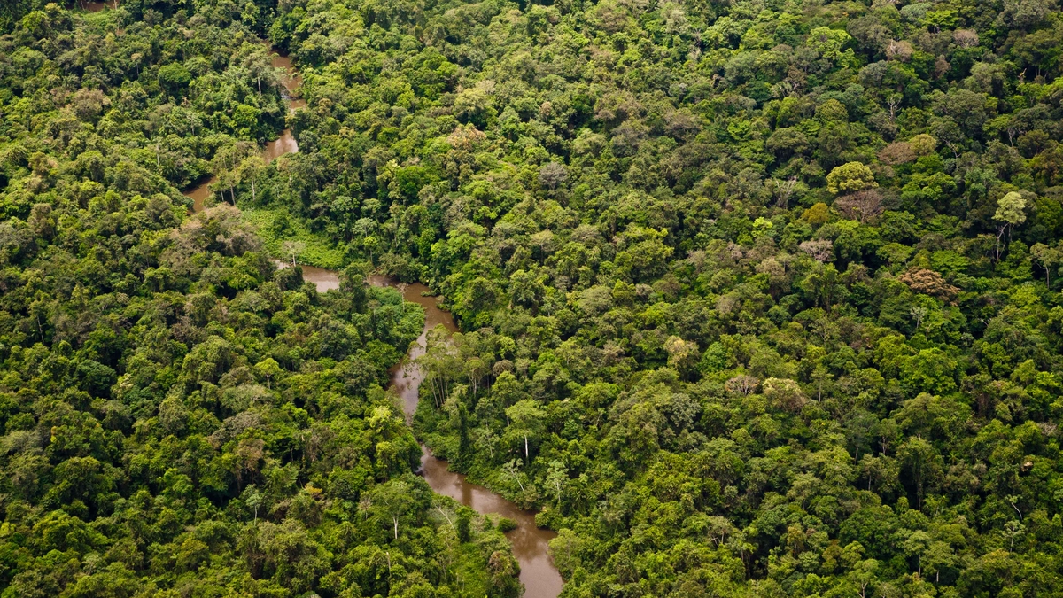 Drought in the Rainforest - Amazon rivers fall to 121-year record low