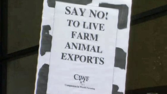 Compassion in World Farming