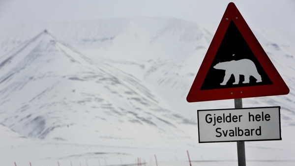 Svalbard is home to nearly 1,000 polar bears