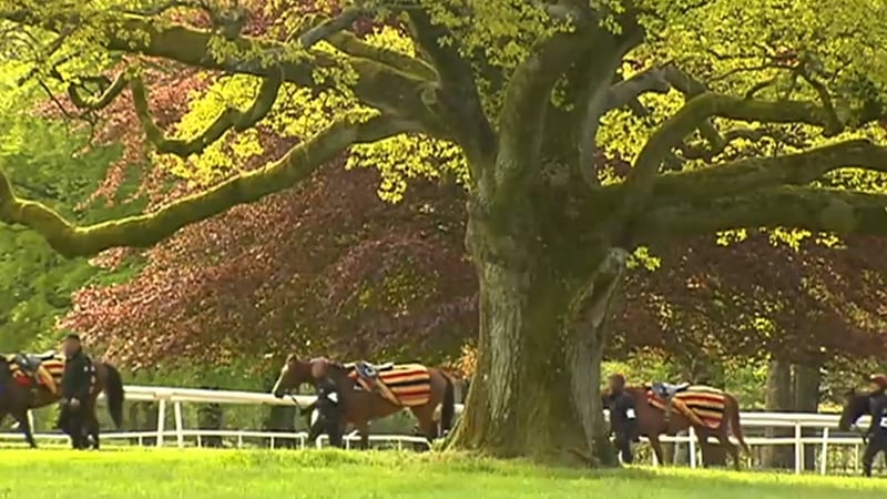 Ballydoyle has argued it is exempt because employees are engaged in agricultural work