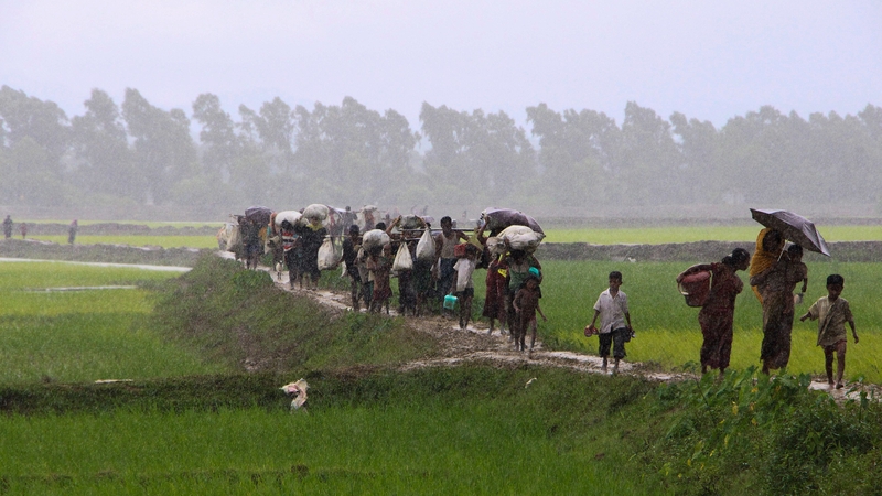 Rohingya refugees from Rakhine state in Myanmar walk along a path near Teknaf in Bangladesh