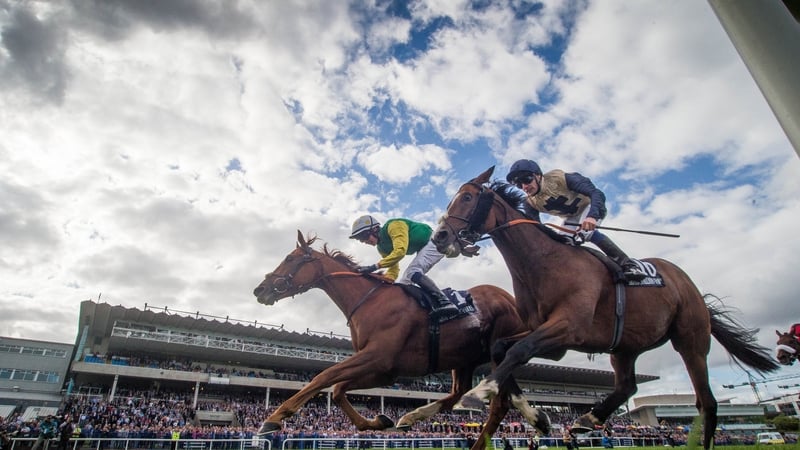 Leopardstown's Qipco Champion Stakes is worth €1.25million