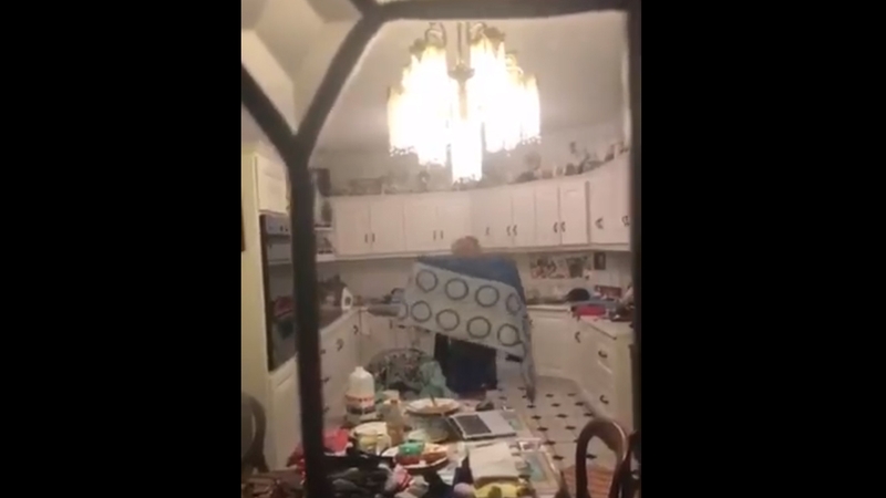 Hilarious video of Irish family trying to get bat out of their kitchen has gone viral, via Tadhg Fleming/Twitter