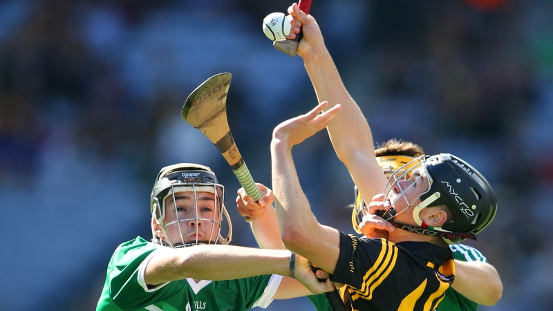 Kilkenny's Pat Lyng and Colin Ryan of Limerick
