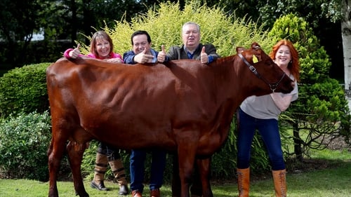 The 86th National Ploughing Championships is on in Screggan, Tullamore from the 19th to the 21st of Septem