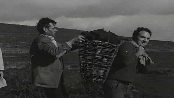 Turf Harvest 1972 Donegal