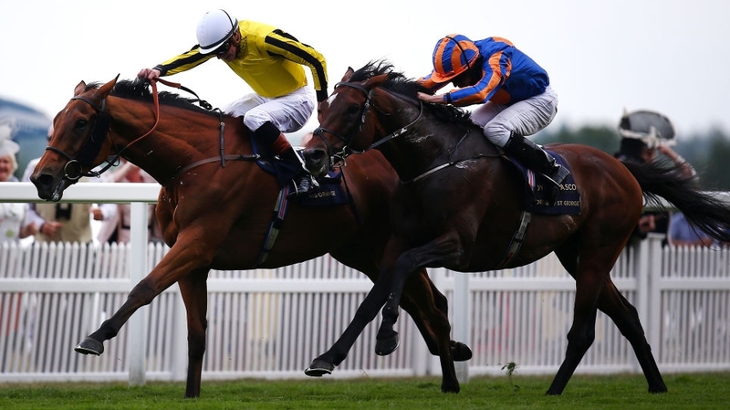 Order of St George (R) lost to Big Orange in June