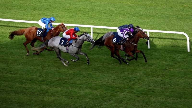 Wayne Lordan on board Hydrangea (nearest) just gets up to win